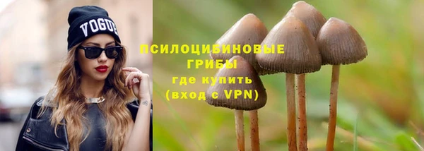 мескалин Арсеньев