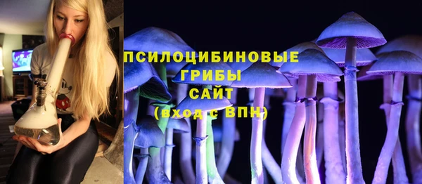 PSILOCYBIN Армянск
