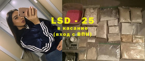 спайс Аркадак