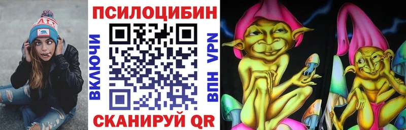 Галлюциногенные грибы Psilocybine cubensis  Удомля 